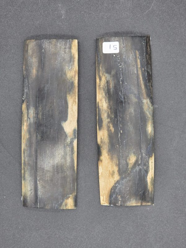 Écaille de mammouth – Image 3