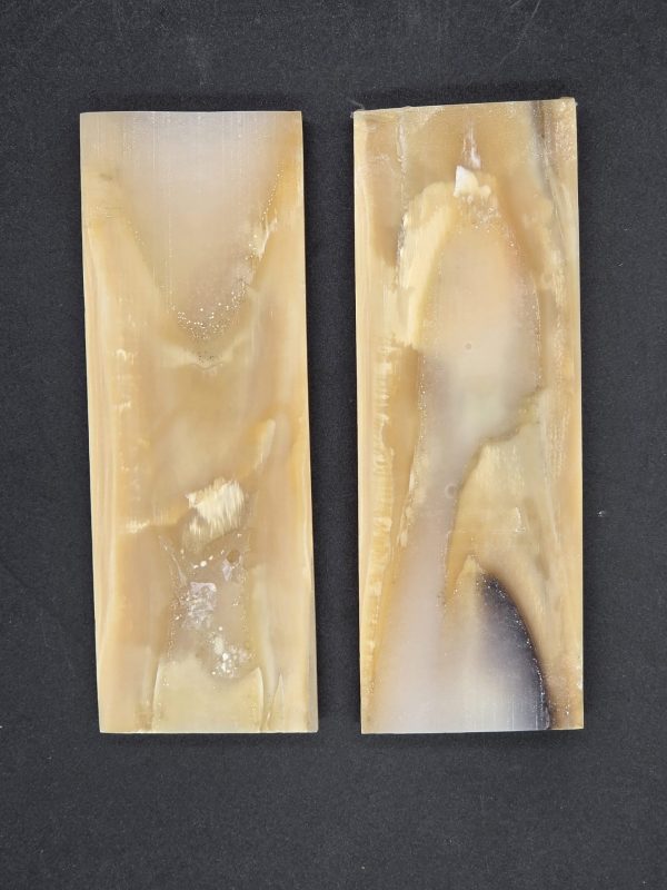 Écaille de mammouth – Image 6