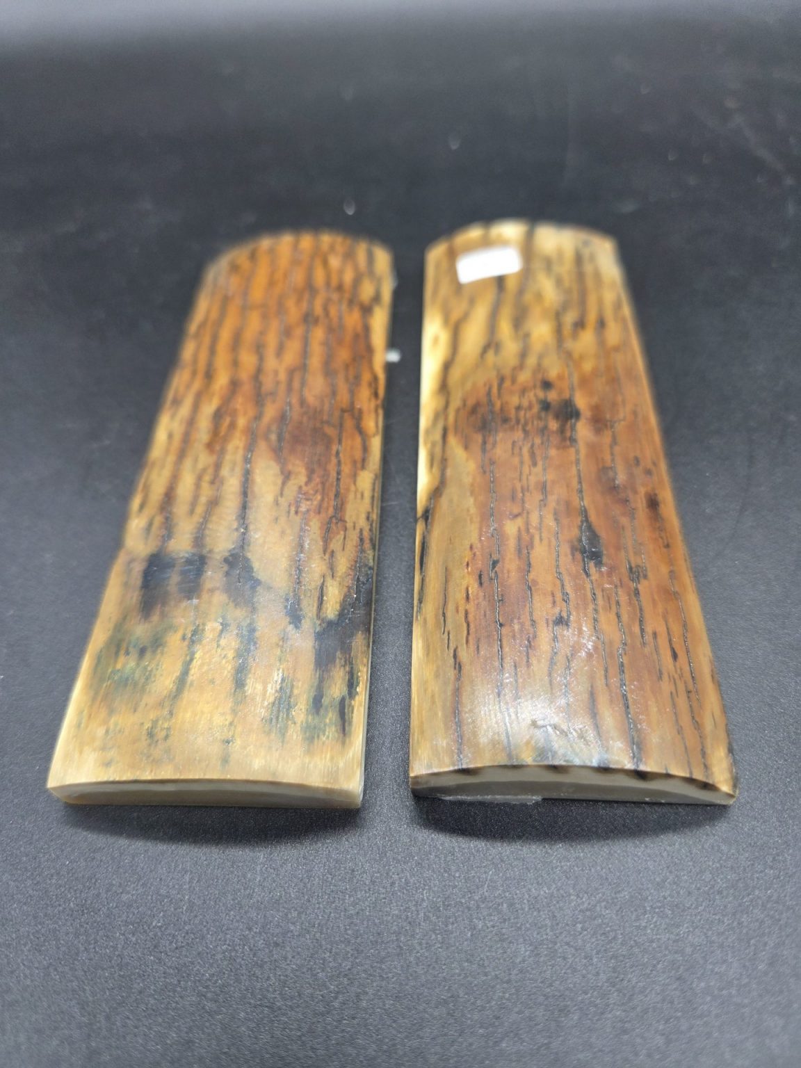 Écaille de mammouth