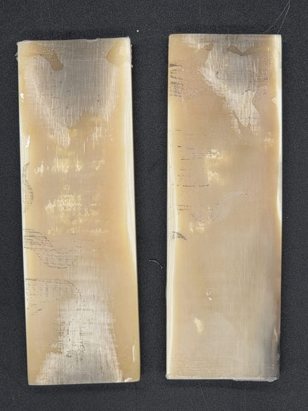Écaille de mammouth – Image 5