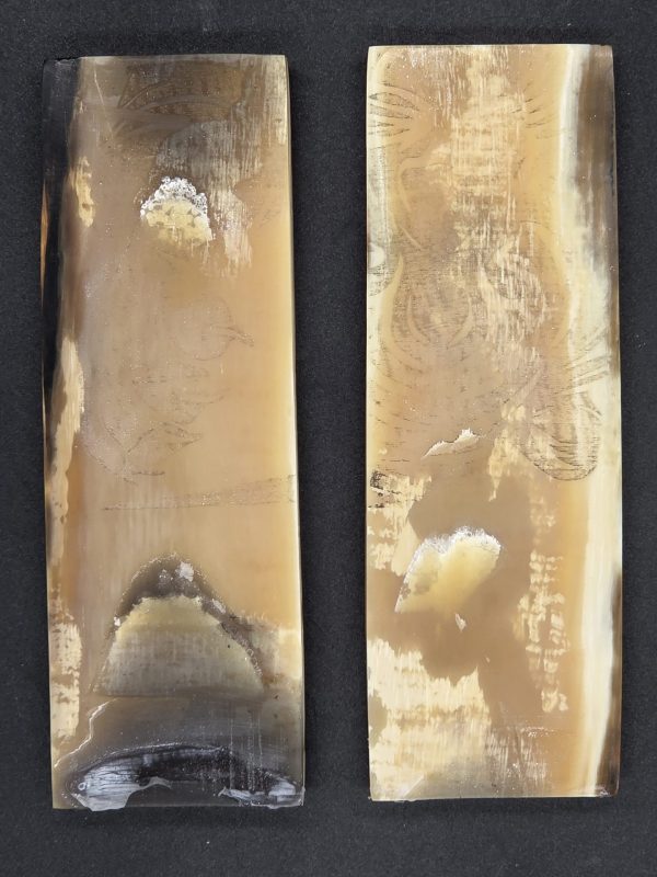 Écaille de mammouth – Image 5