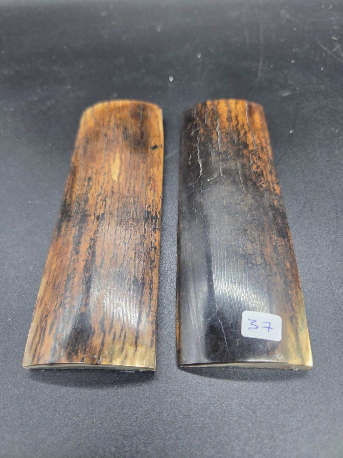 Écaille de mammouth