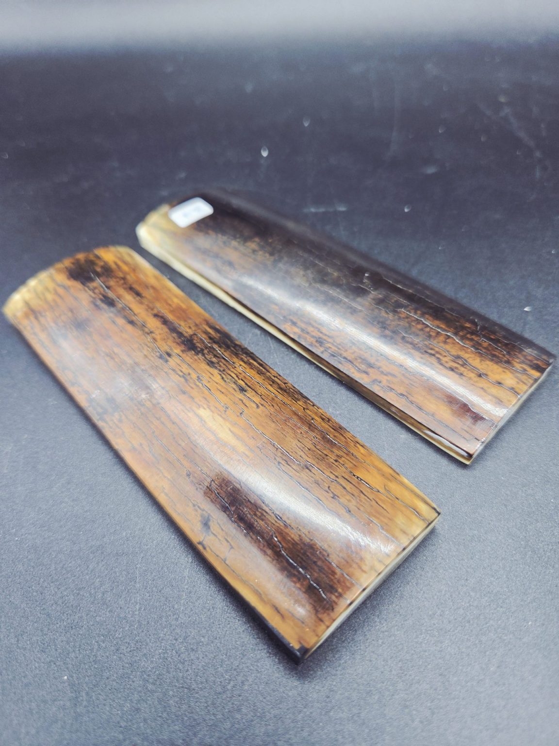 Écaille de mammouth