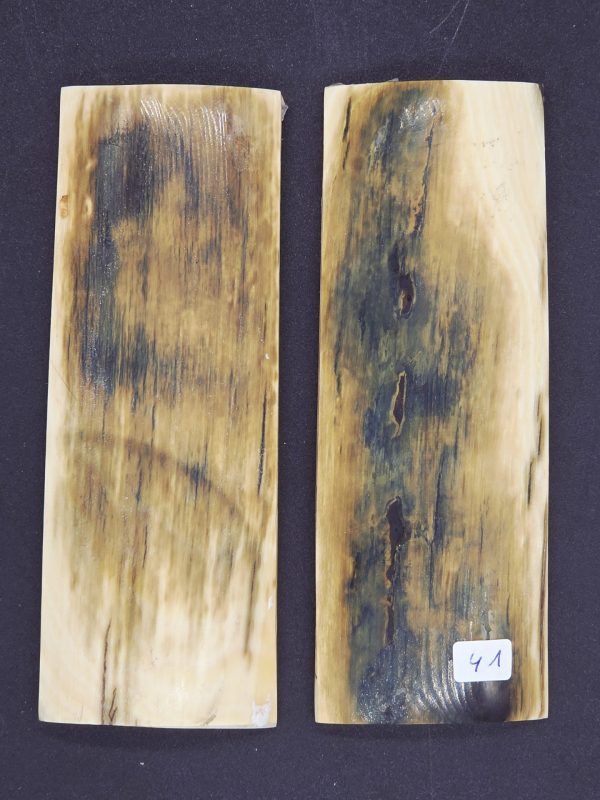 Écaille de mammouth – Image 6