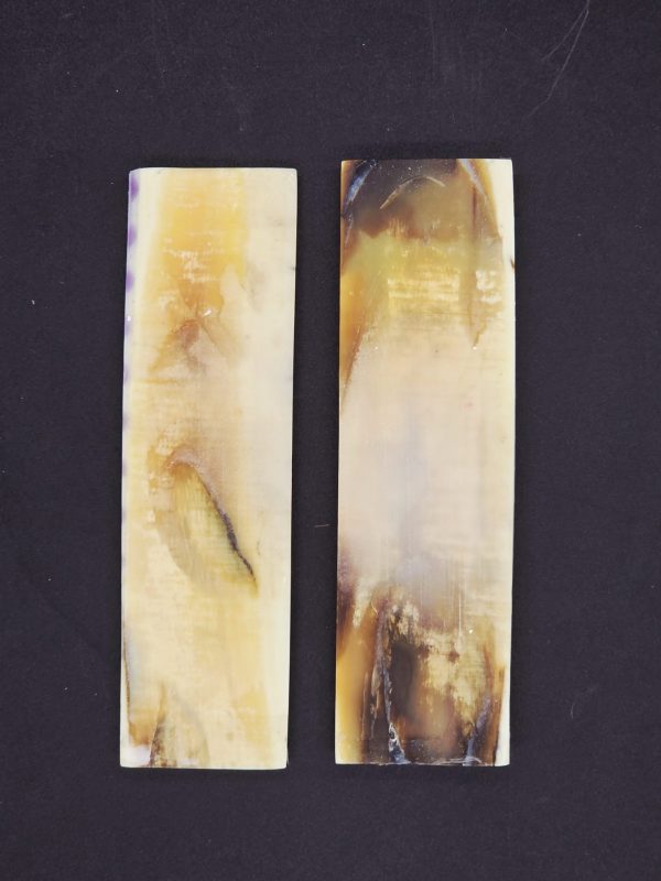 Écaille de mammouth – Image 3