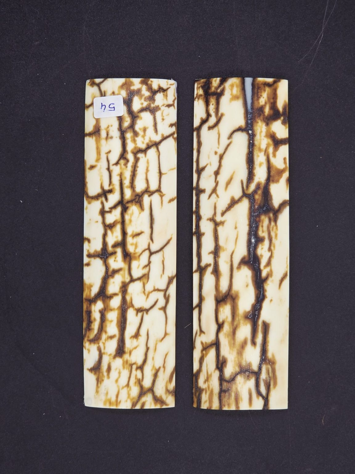 Écaille de mammouth