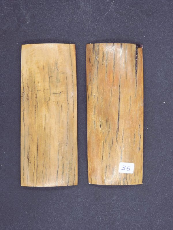Écaille de mammouth – Image 6