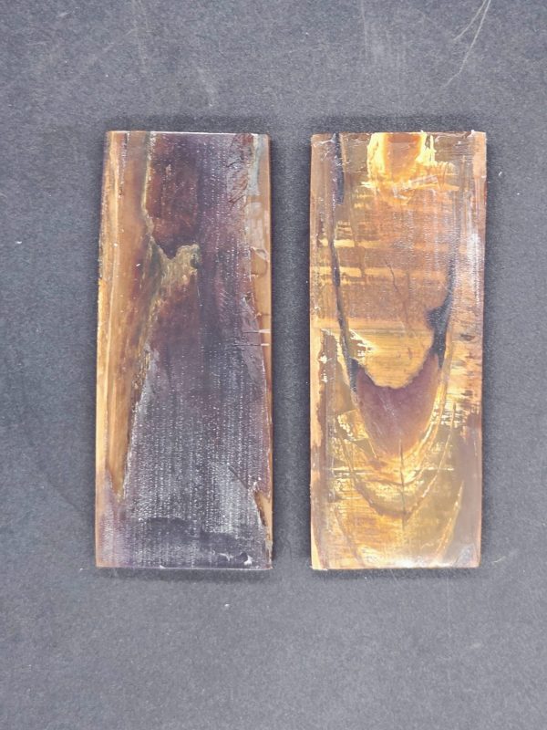 Écaille de mammouth – Image 5
