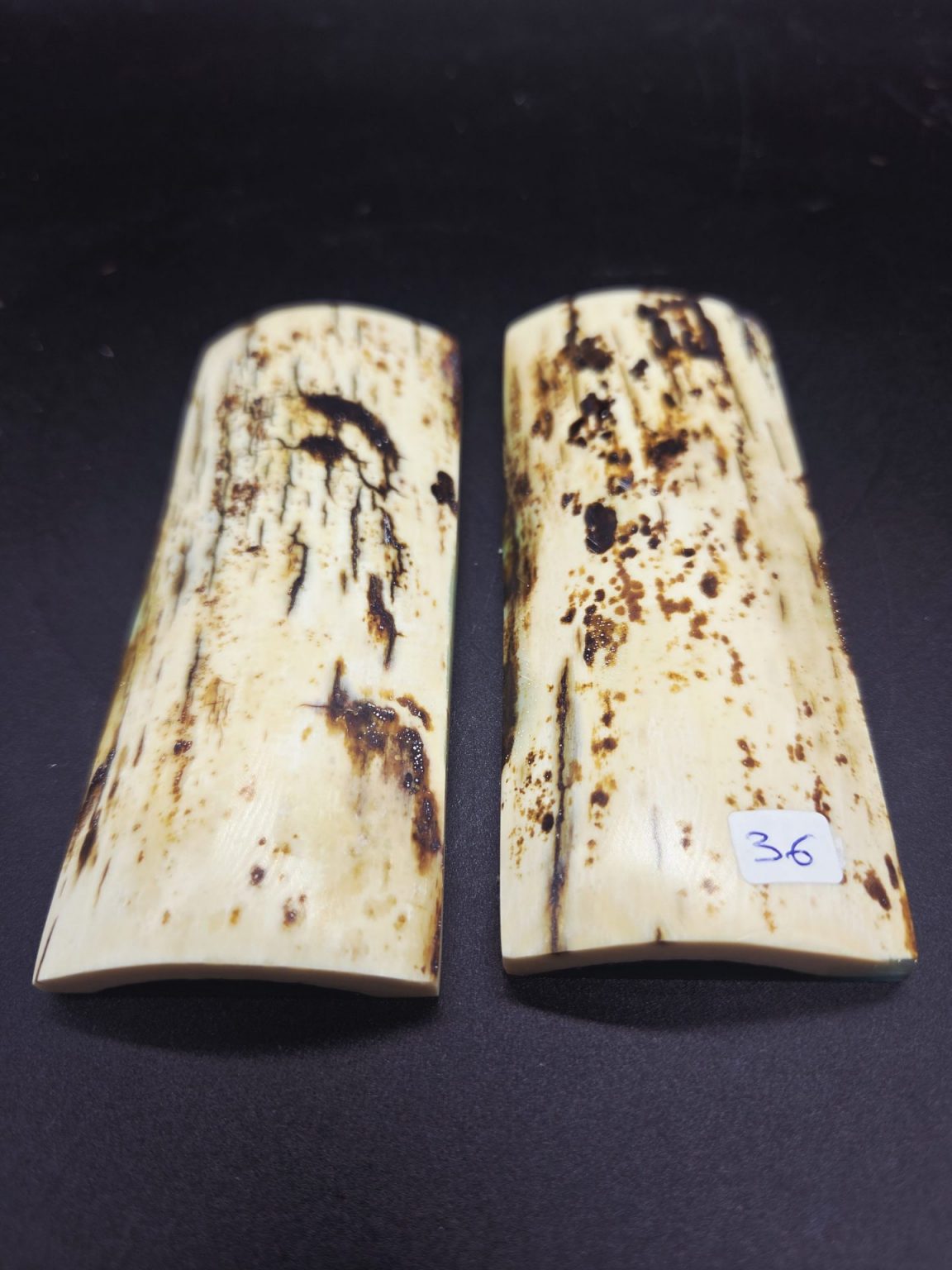 Écaille de mammouth