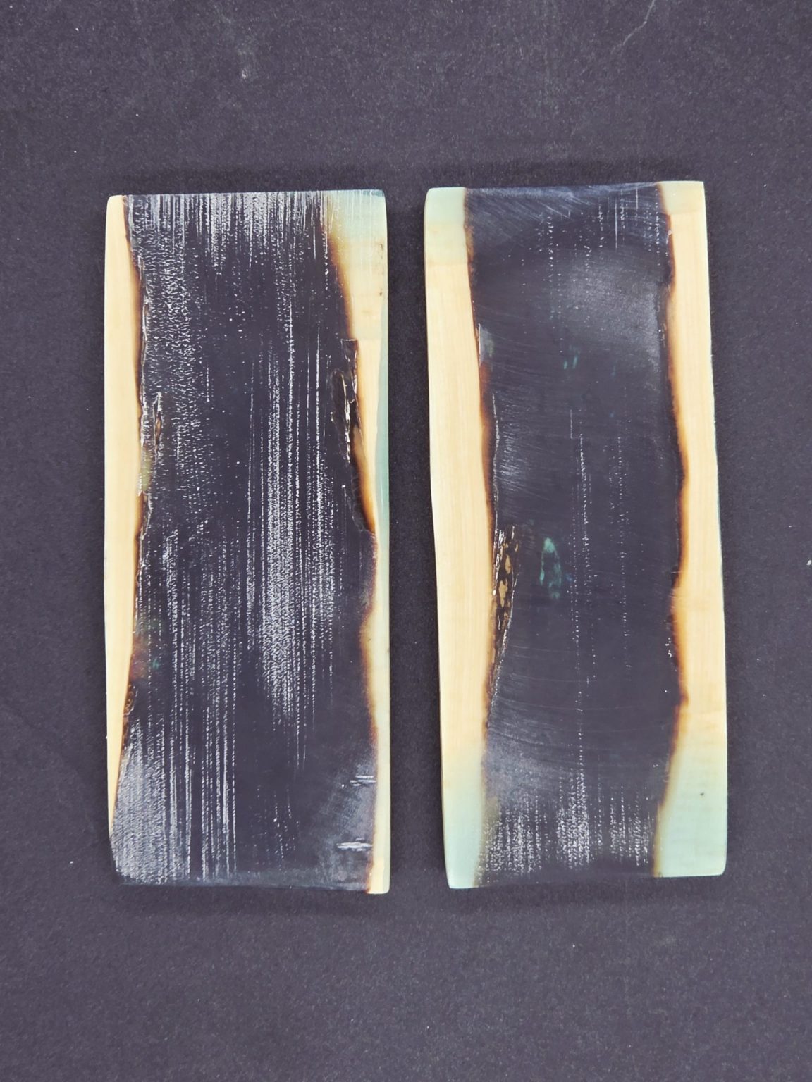 Écaille de mammouth