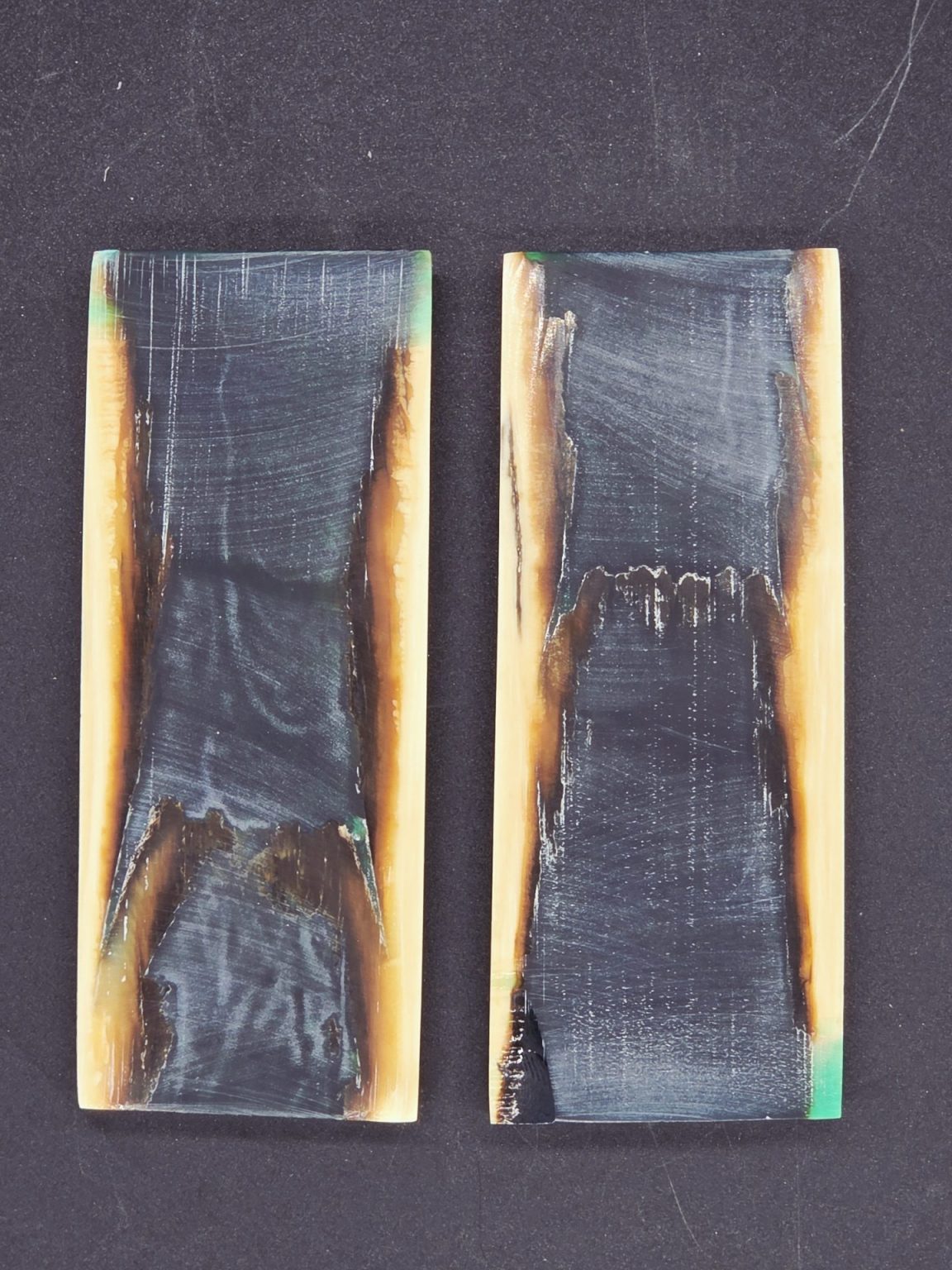 Écaille de mammouth