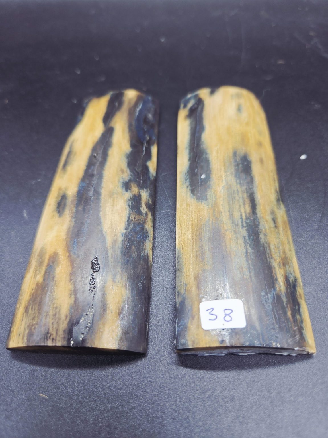 Écaille de mammouth