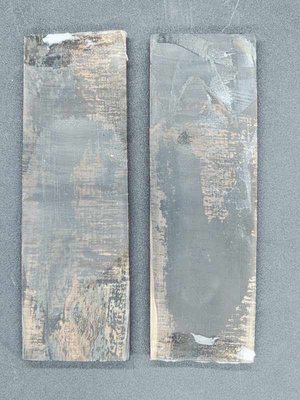 Écaille de mammouth – Image 2