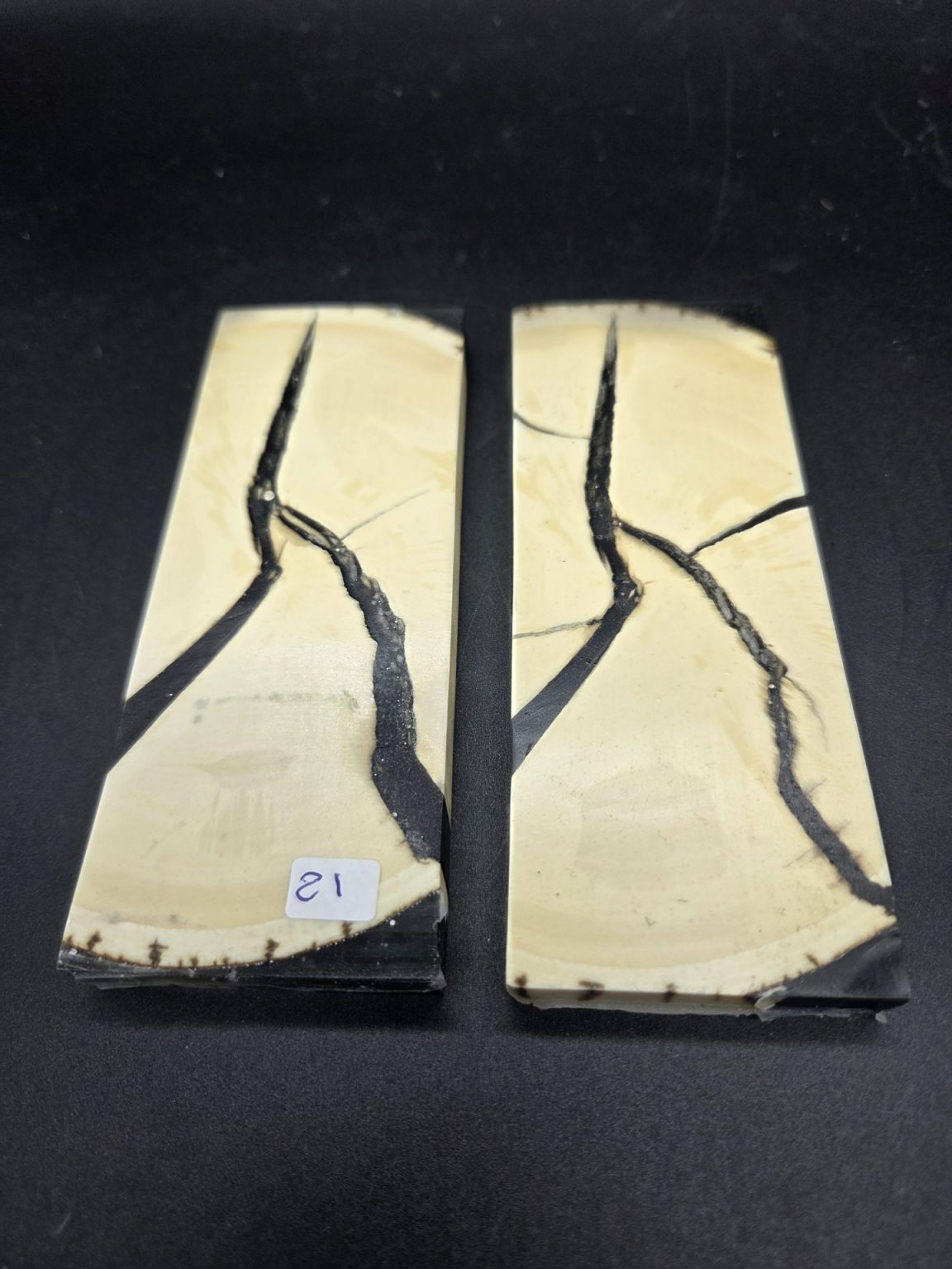 Tranche d’ivoire de mammouth stabilisés