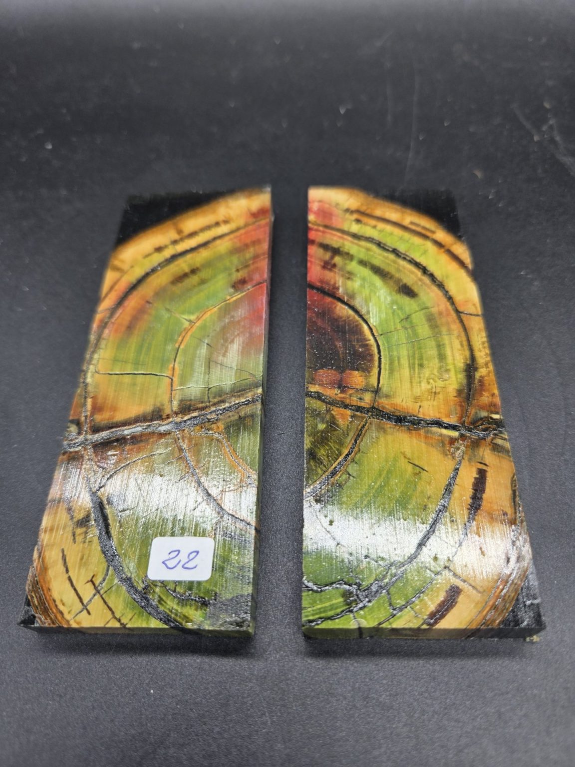 Tranche d’ivoire de mammouth stabilisés