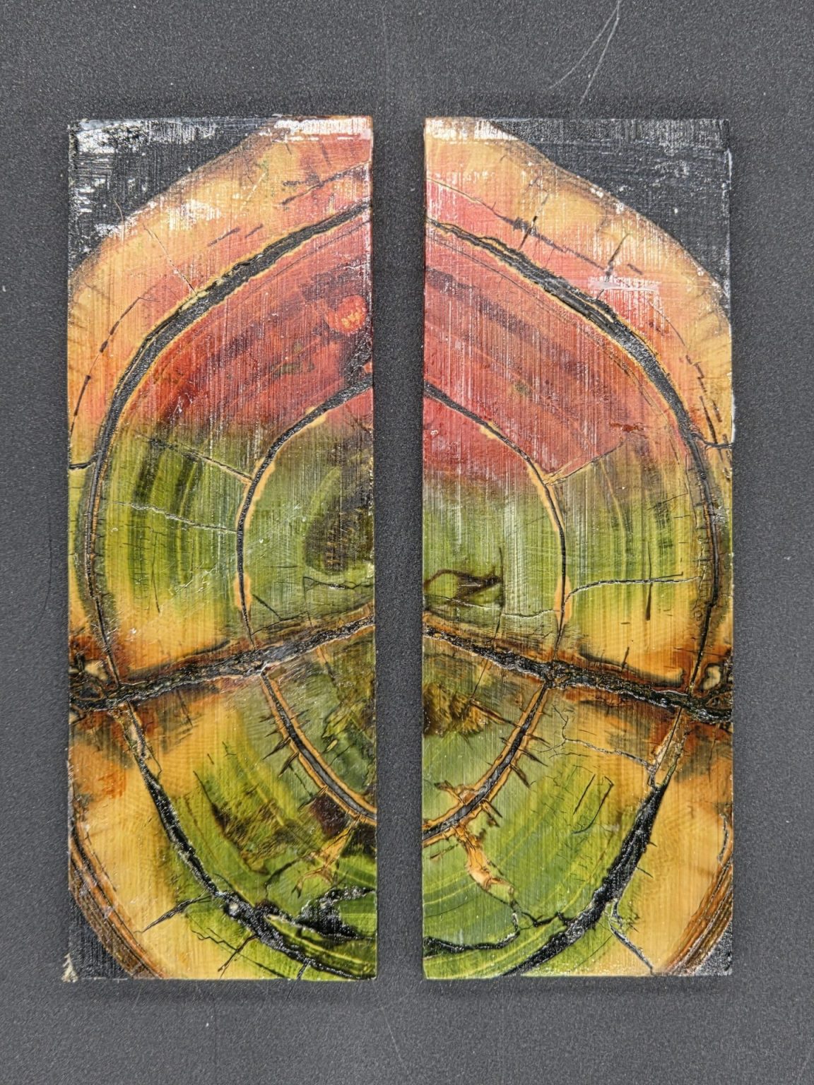 Tranche d’ivoire de mammouth stabilisés