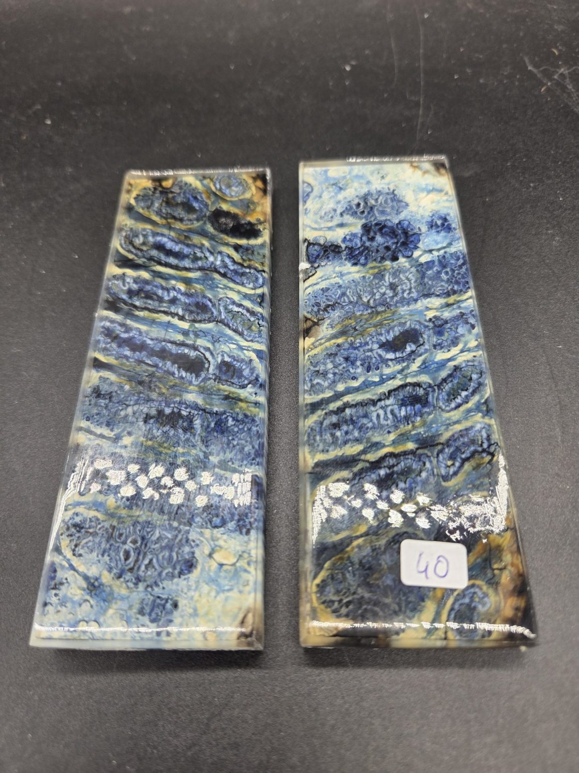 Molaire de mammouth stabilisée