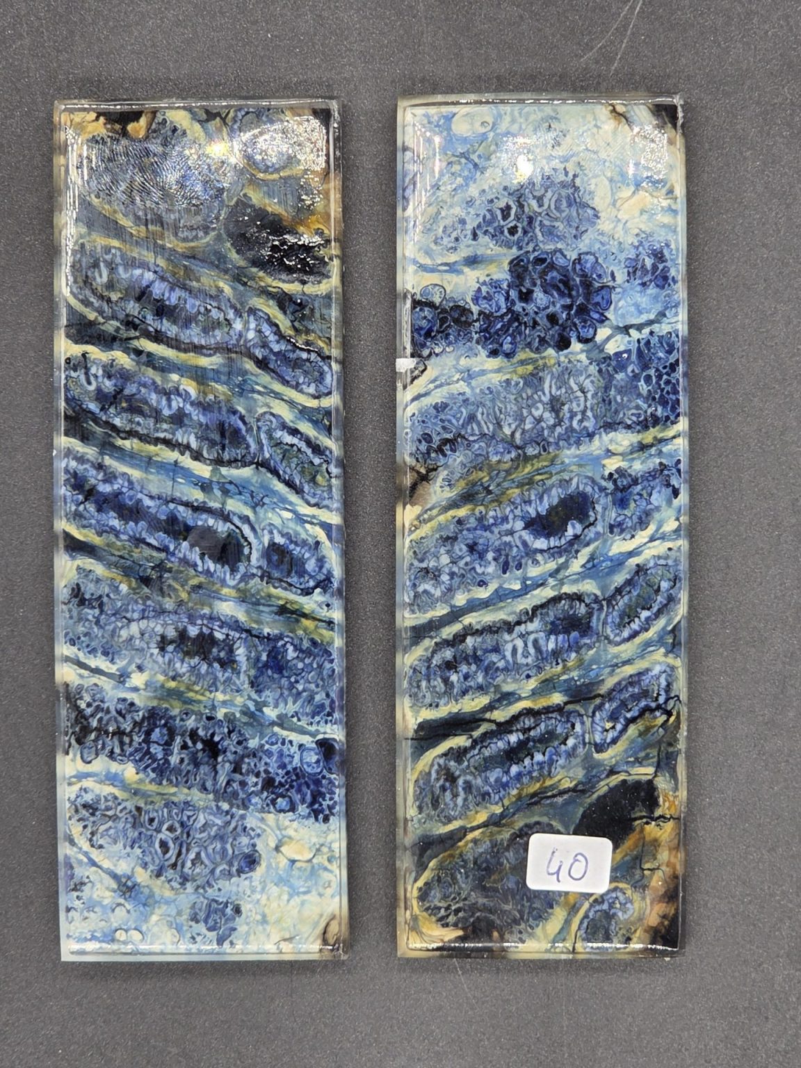 Molaire de mammouth stabilisée