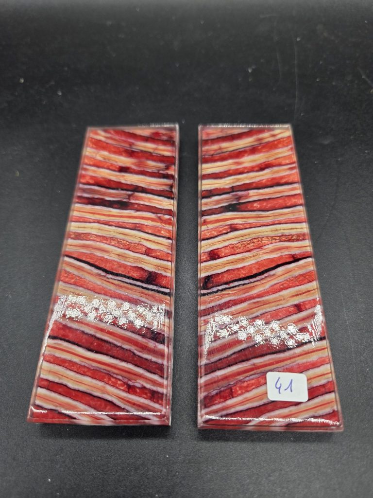 Molaire de mammouth stabilisée