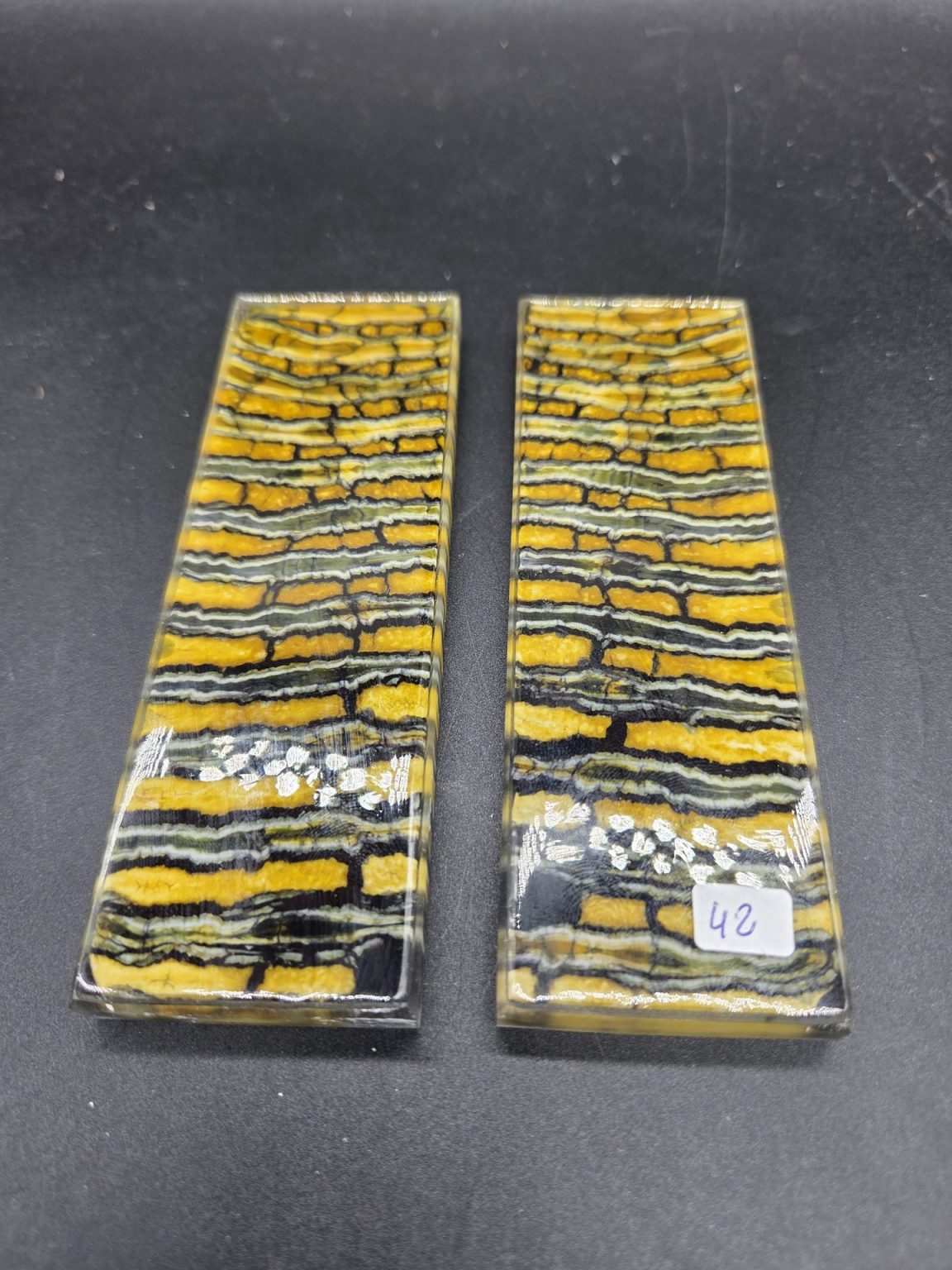 Molaire de mammouth stabilisée