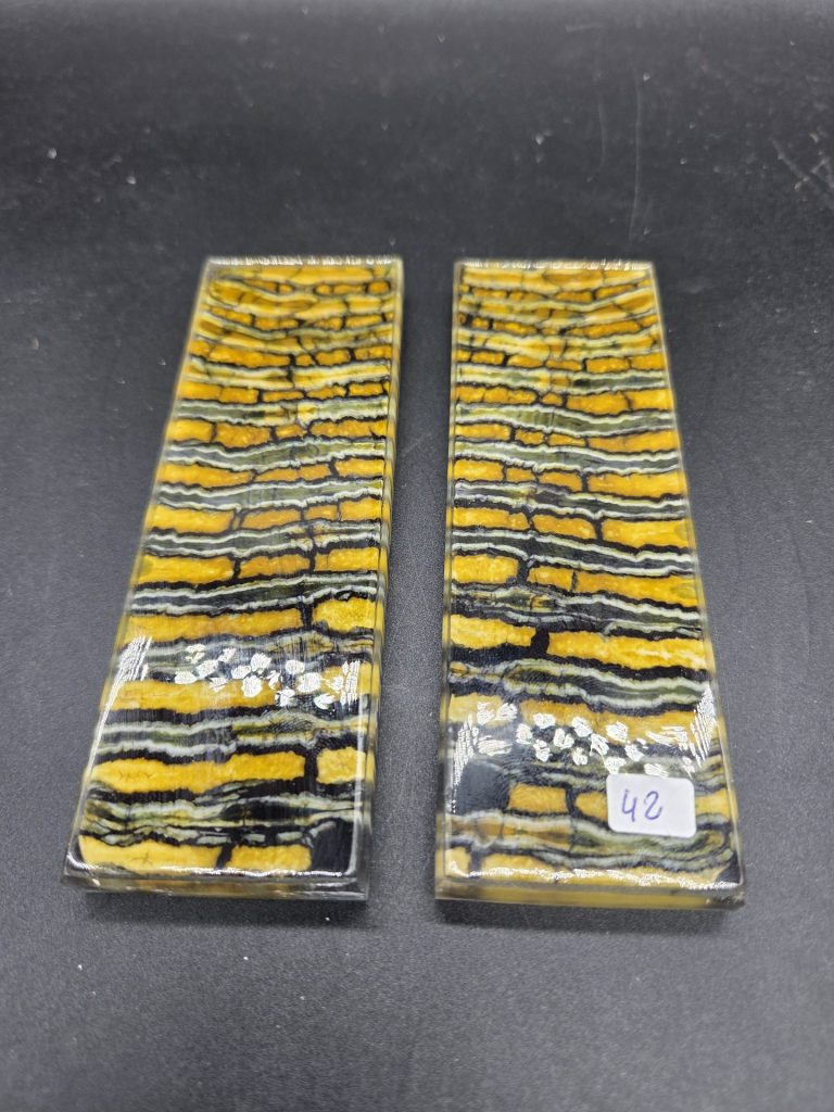 Molaire de mammouth stabilisée