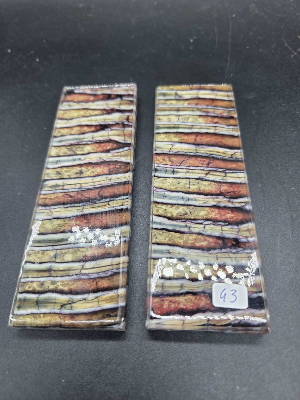 Molaire de mammouth stabilisée