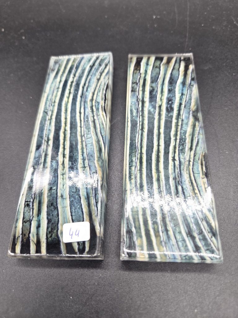 Molaire de mammouth stabilisée