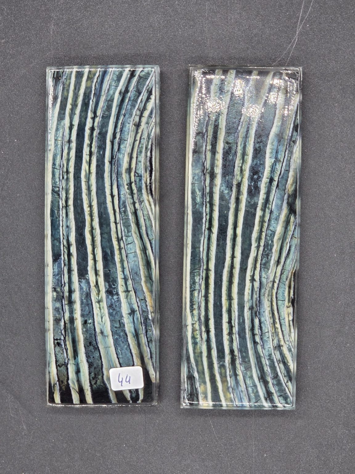 Molaire de mammouth stabilisée