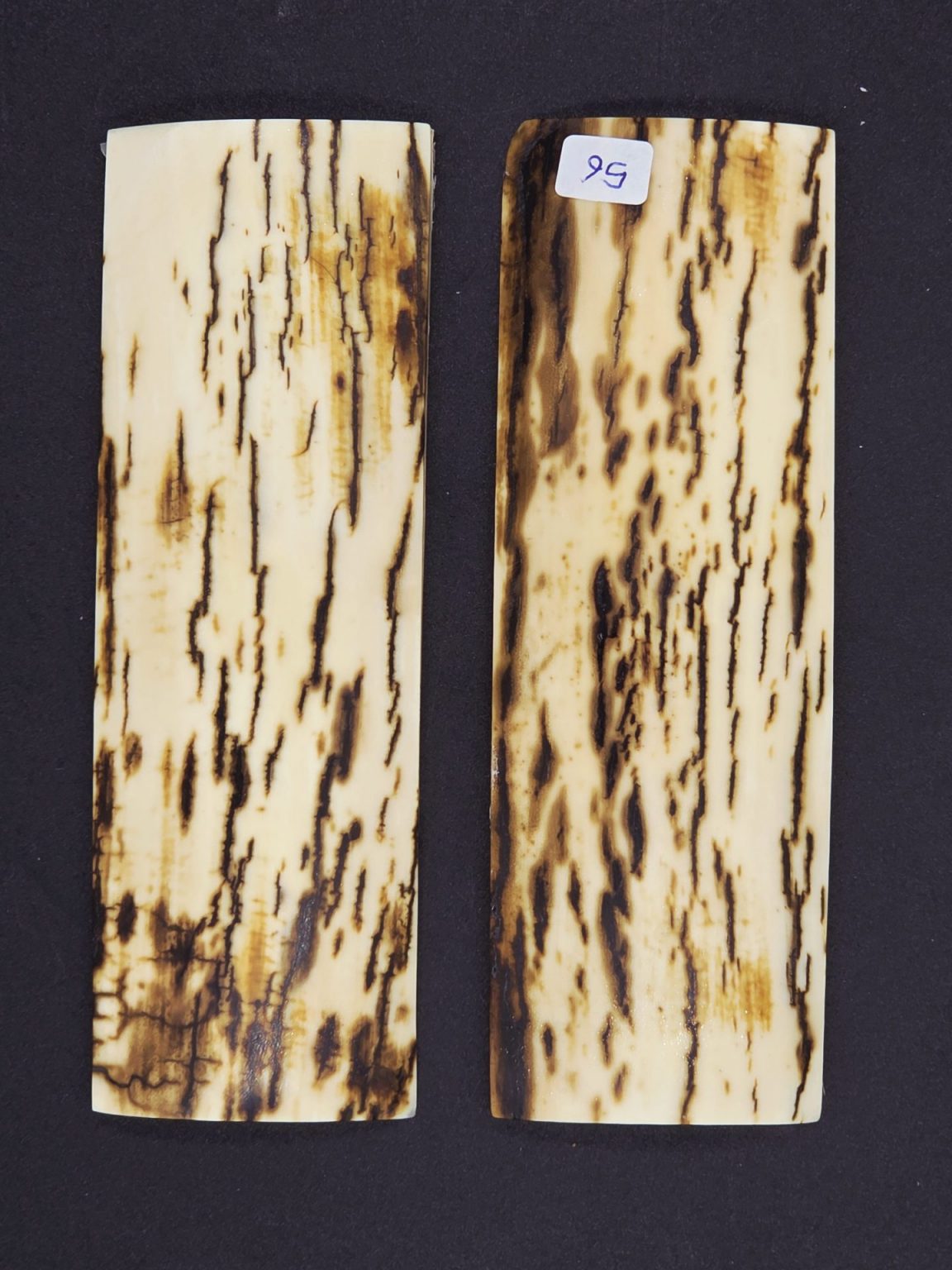 Écaille de mammouth