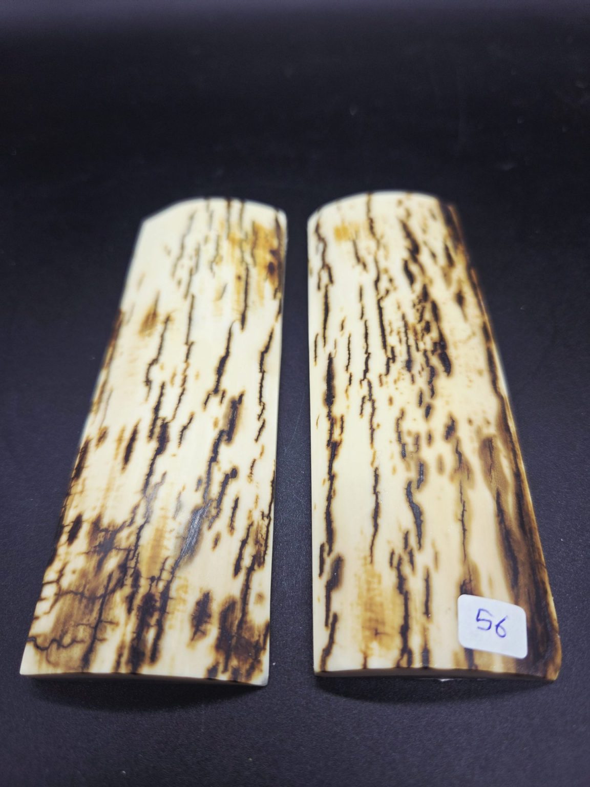 Écaille de mammouth