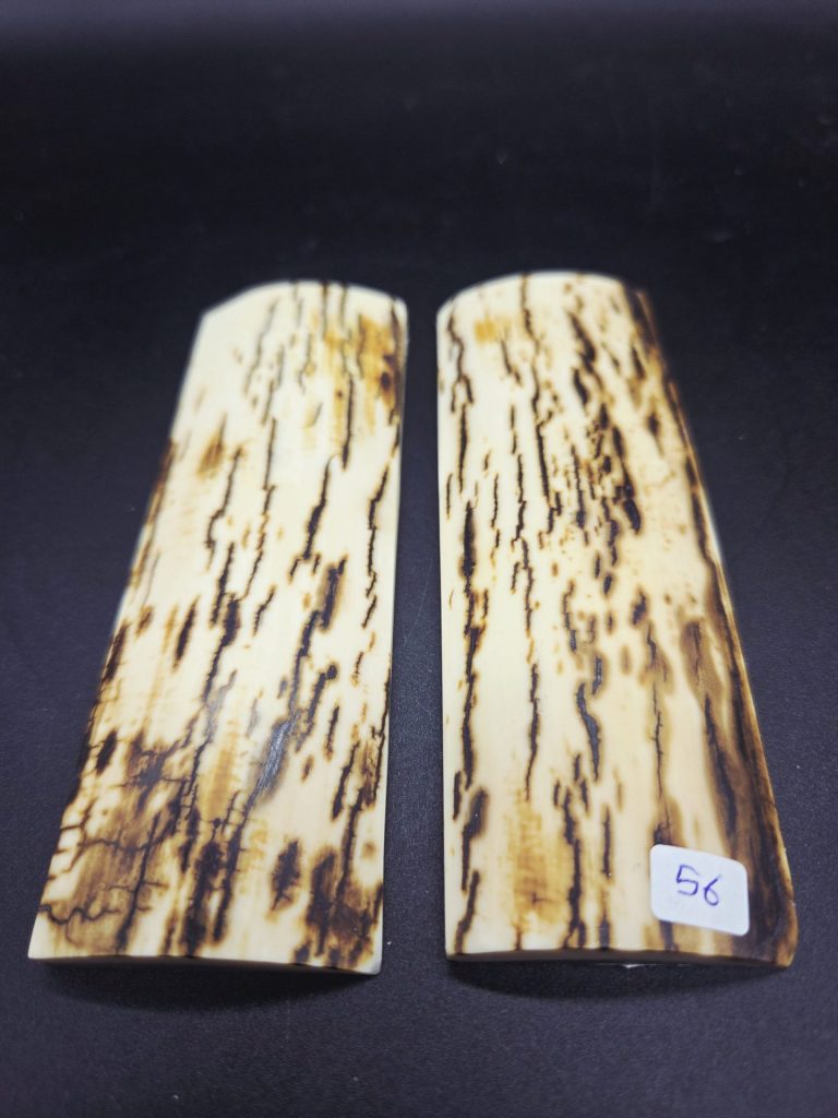 Écaille de mammouth