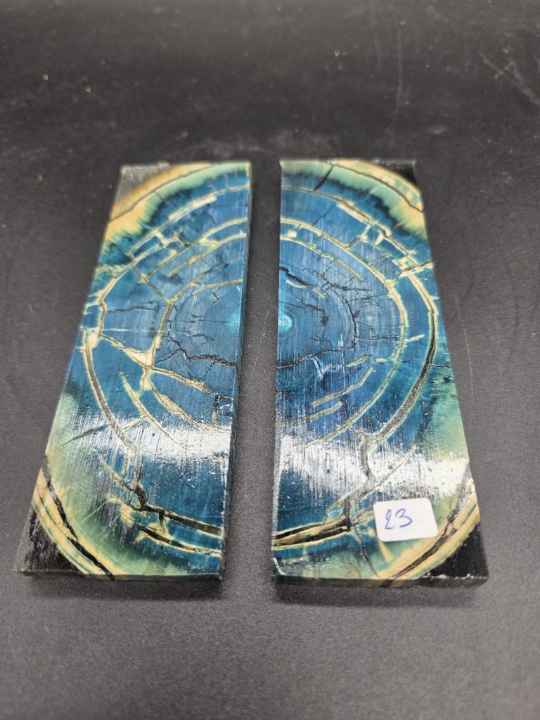 Tranche d'ivoire de mammouth stabilisés