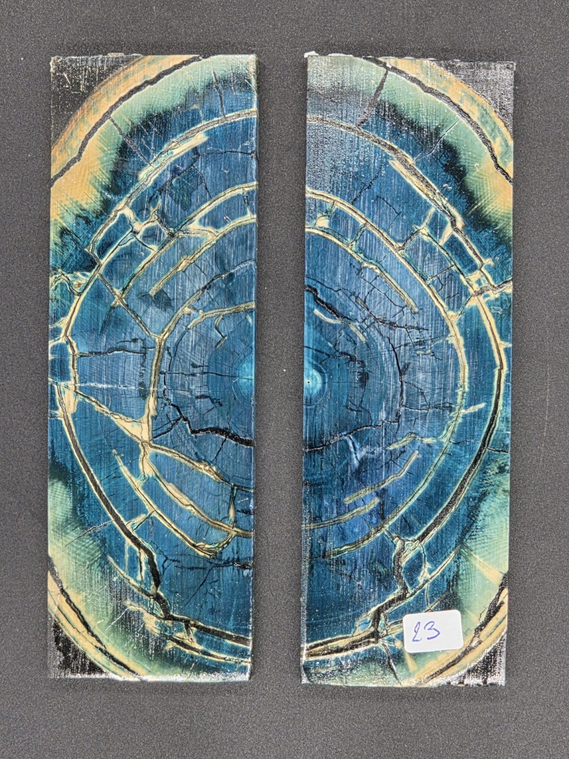 Tranche d’ivoire de mammouth stabilisés