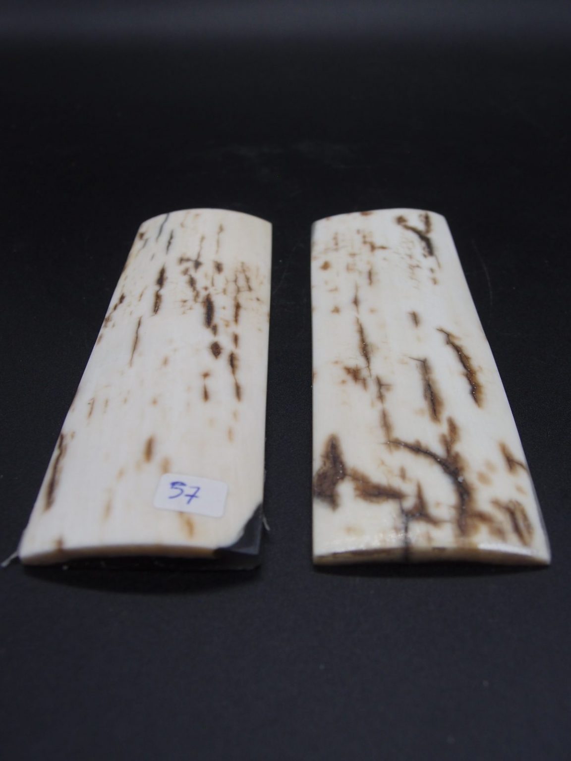 Écaille de mammouth