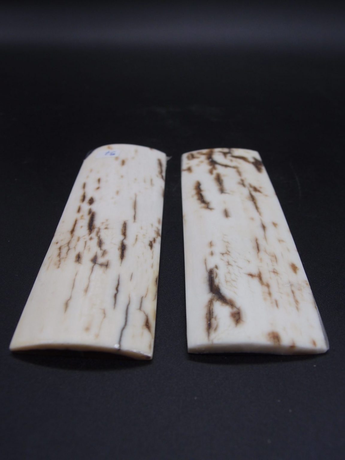 Écaille de mammouth