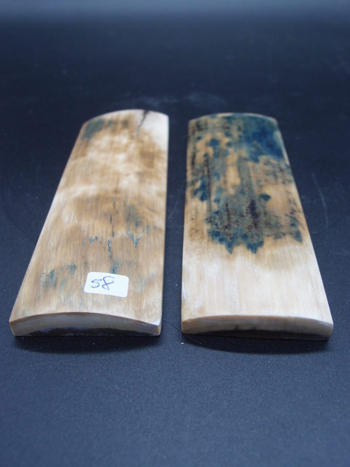 Écaille de mammouth