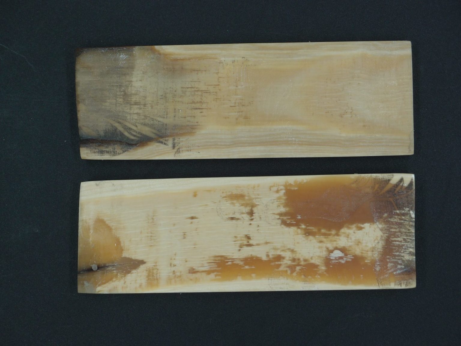 Écaille de mammouth