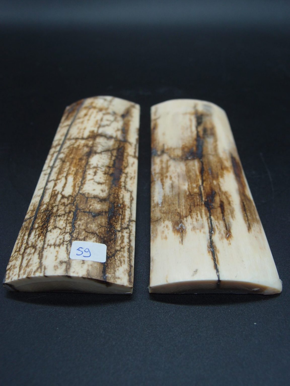 Écaille de mammouth