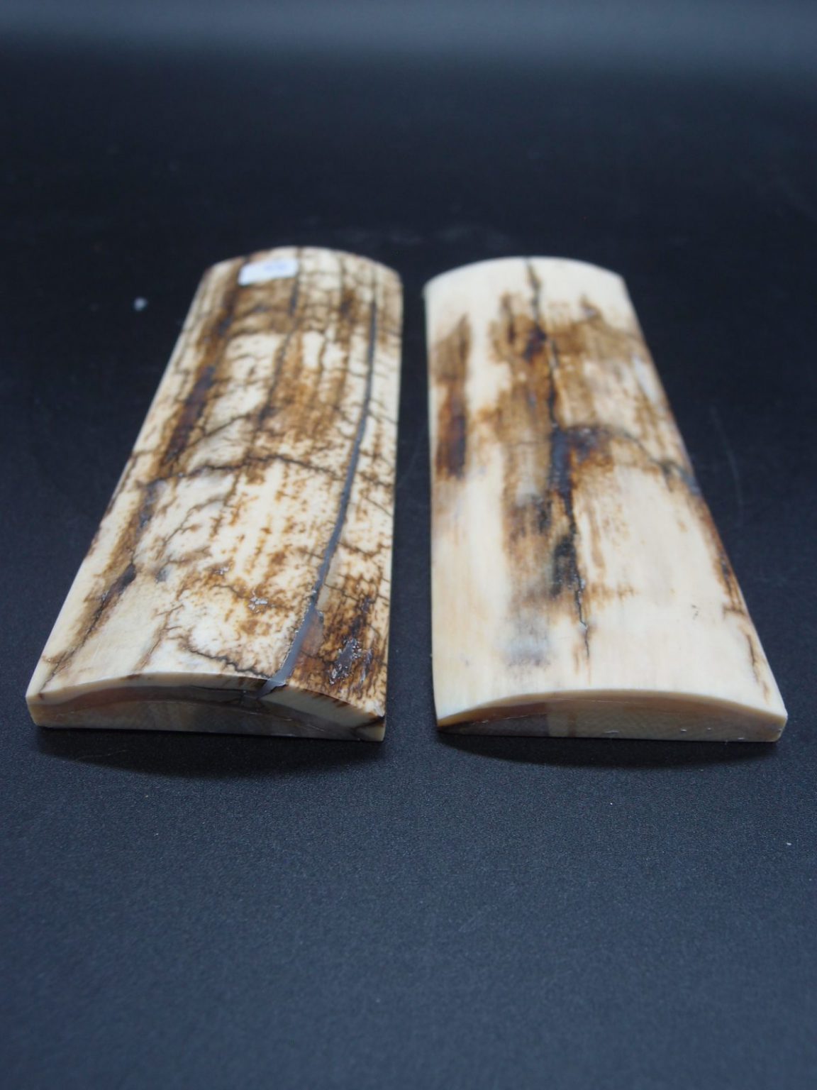 Écaille de mammouth