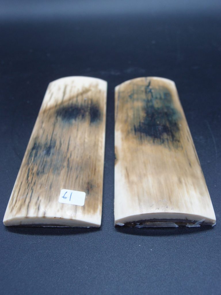 Écaille de mammouth