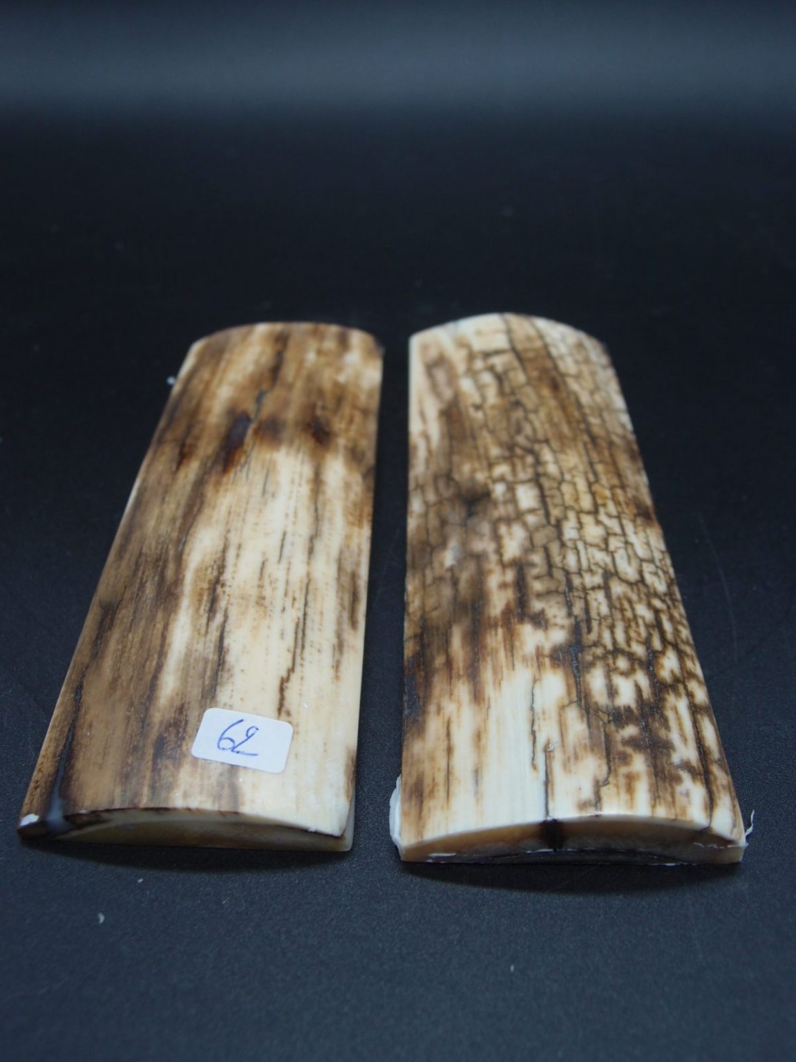 Écaille de mammouth