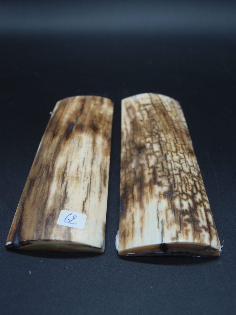 Écaille de mammouth