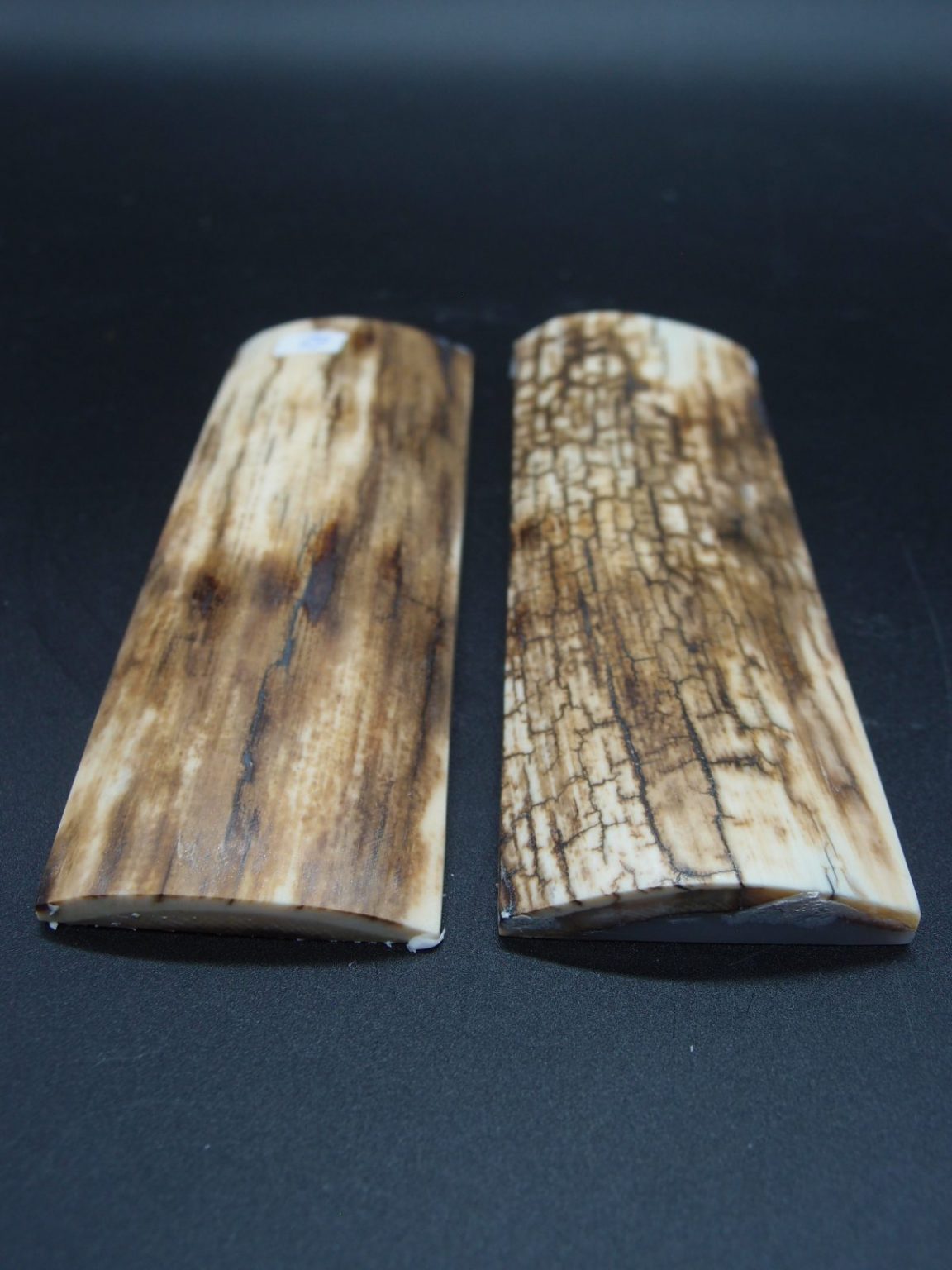 Écaille de mammouth