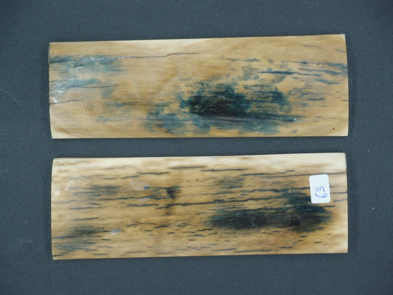 Écaille de mammouth