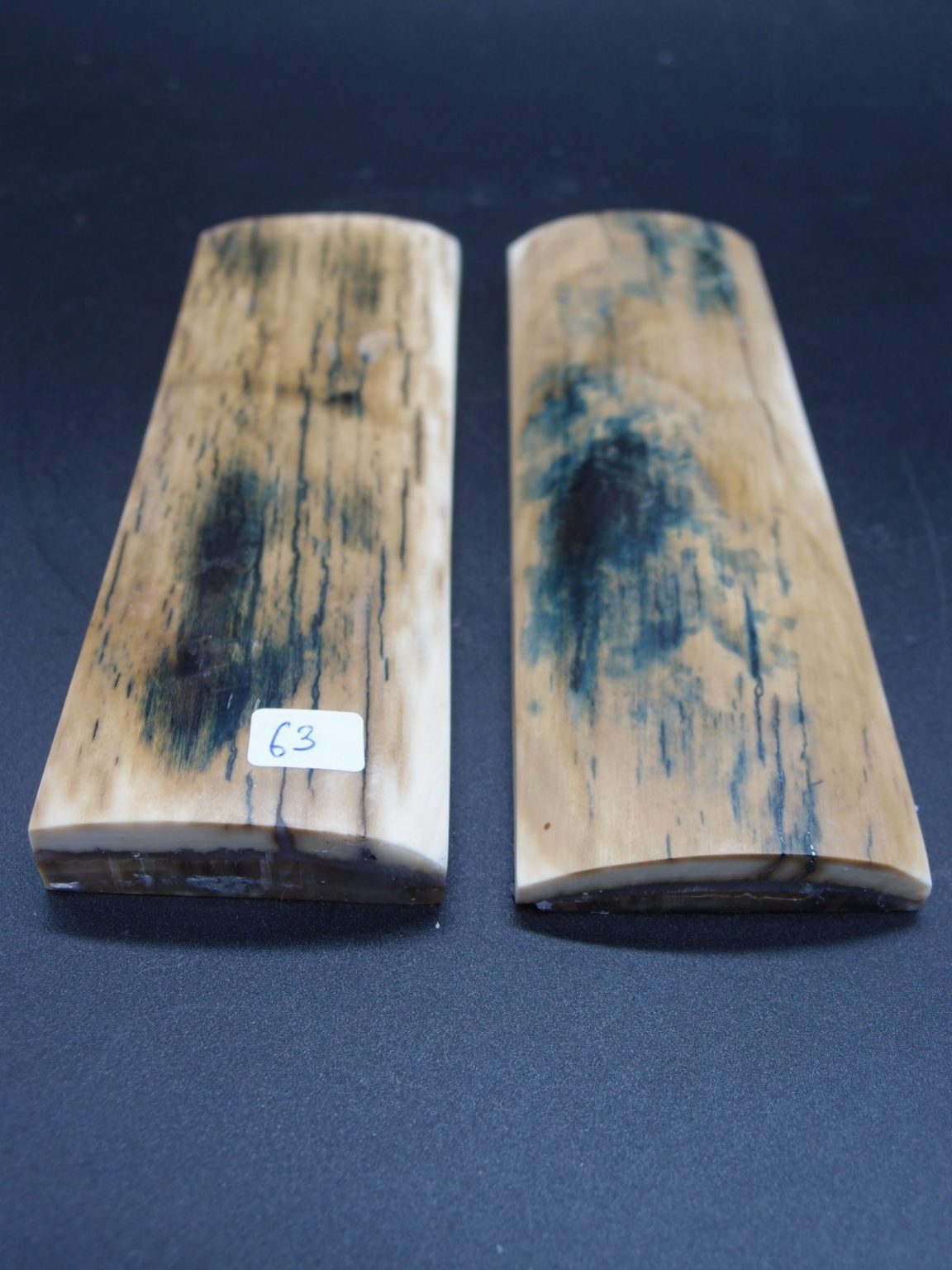 Écaille de mammouth