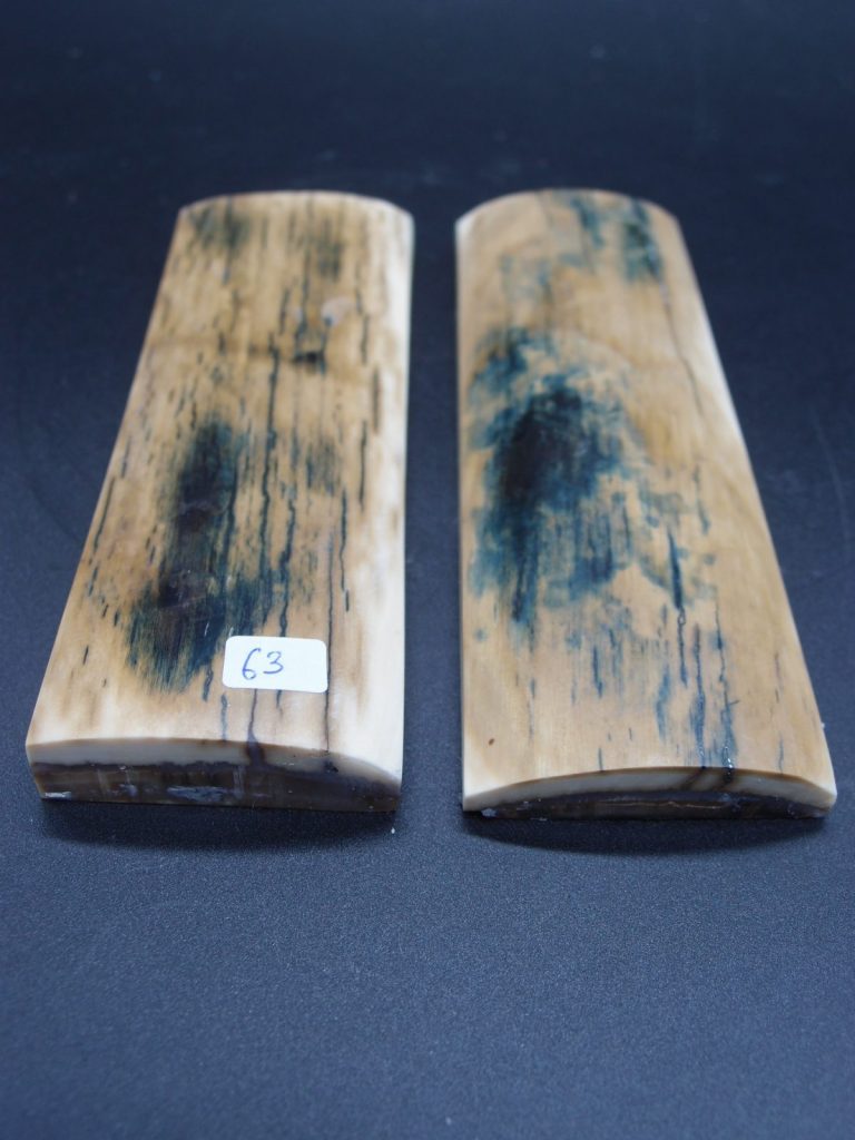 Écaille de mammouth