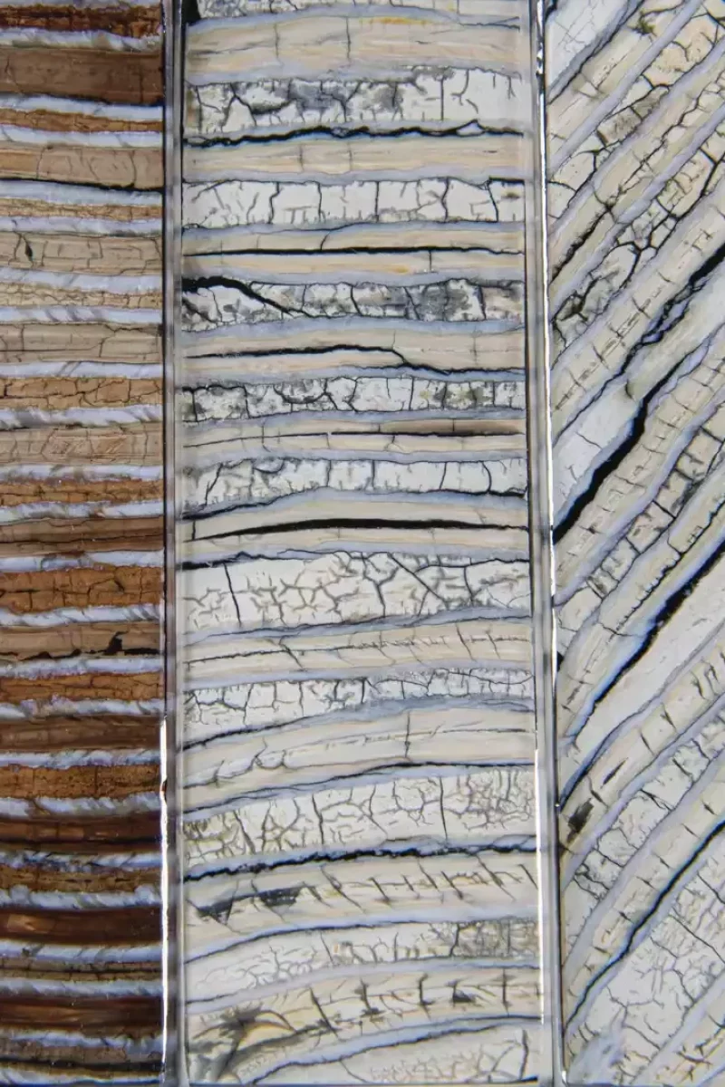 Molaires-de-mamouth-Stone-and-Bone-min